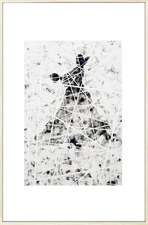 现代抽象装饰画-ID:638911963