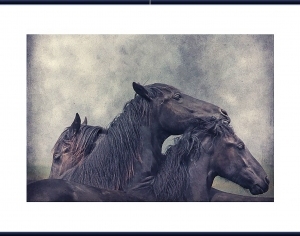 现代马装饰画-ID:5863902