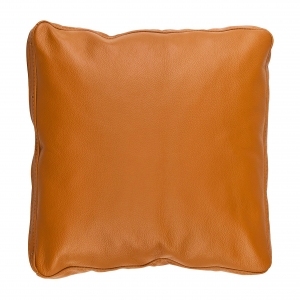 ModernPillow