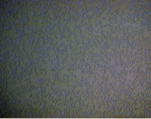 墙面硅藻泥涂料乳胶漆-ID:5865901