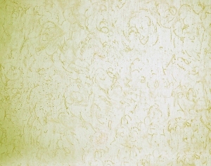 墙面硅藻泥涂料乳胶漆-ID:5865918