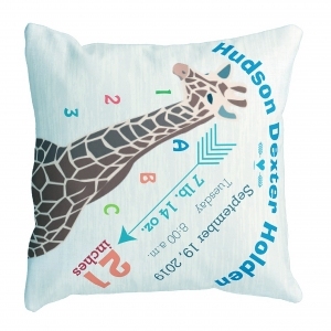 ModernPillow