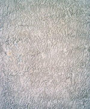 墙面硅藻泥涂料乳胶漆-ID:5869300