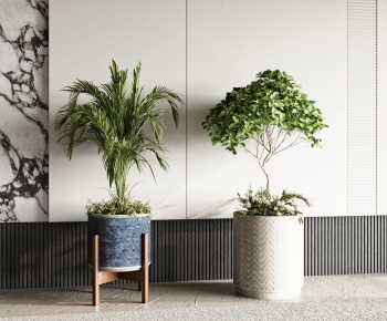 Modern Ground Green Plant Potted Plants-ID:142172109