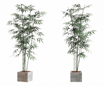Modern Ground Green Plant Potted Plants-ID:868381983