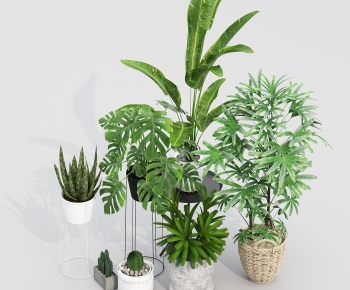 Modern Ground Green Plant Potted Plants-ID:178575044