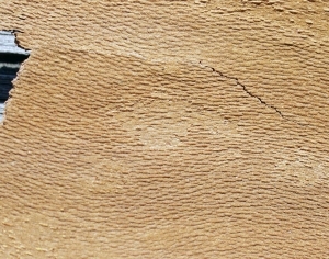 ModernBark Texture