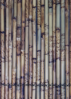 ModernOther Wood Textures