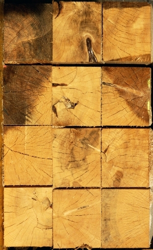 树干切面年轮木材-ID:5871537