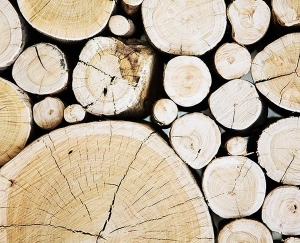 树干切面年轮木材-ID:5871760