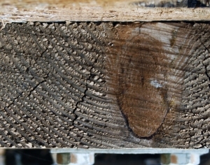 树干切面年轮木材-ID:5871770