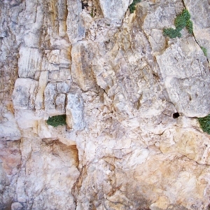 石头毛石山石岩石-ID:5874152