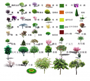景观树-ID:279196983