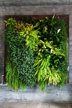 绿植墙植物堆-ID:5874635