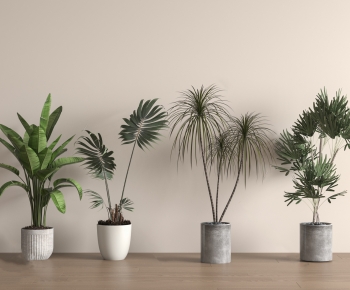 Modern Ground Green Plant Potted Plants-ID:870132929