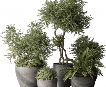 Modern Ground Green Plant Potted Plants-ID:308572054