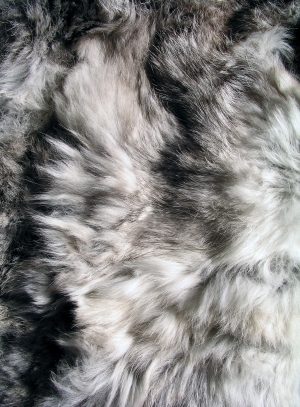 ModernAnimal Fur
