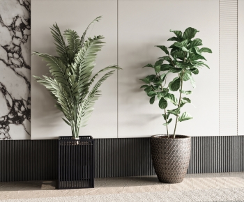 Modern Ground Green Plant Potted Plants-ID:388279919