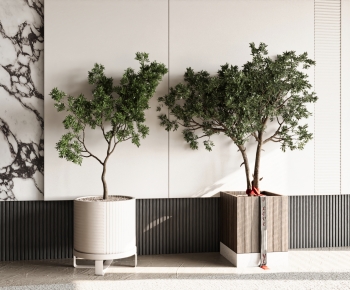 Modern Ground Green Plant Potted Plants-ID:186425924