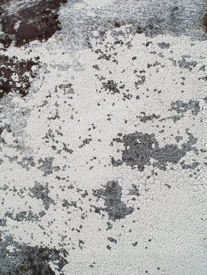 污垢污渍脏旧墙地面纹理-ID:5881634