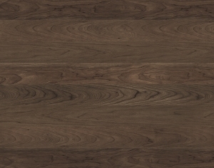 ModernWood Texture