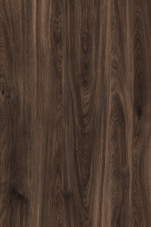 ModernWood Texture