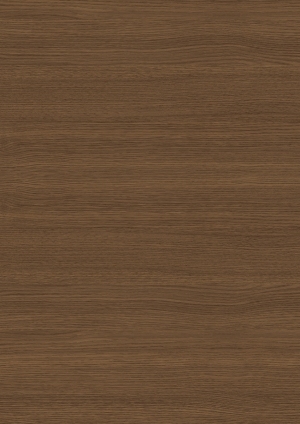 ModernWood Texture