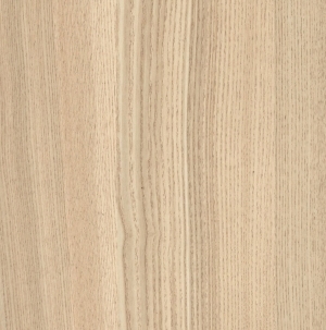 ModernWood Texture