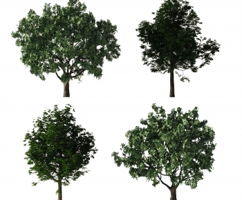 Modern Tree-ID:305047993