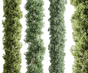 现代立柱垂直灌木绿植3D模型