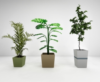 Modern Ground Green Plant Potted Plants-ID:353338006