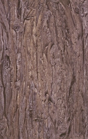 ModernBark Texture