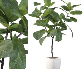 Modern Ground Green Plant Potted Plants-ID:485955005