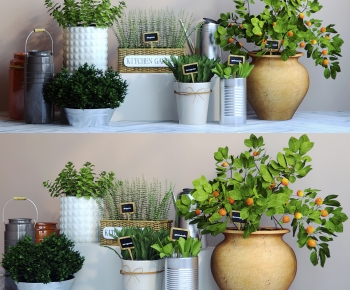 Modern Potted Green Plant-ID:579288965
