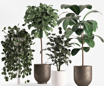 Modern Ground Green Plant Potted Plants-ID:104010111