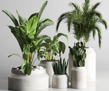 Modern Ground Green Plant Potted Plants-ID:559942962