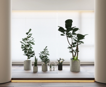 Modern Ground Green Plant Potted Plants-ID:325932037