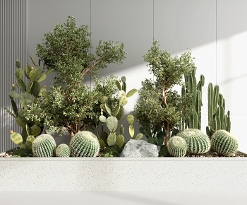 现代仙人掌景观植物小品3D模型