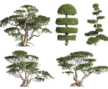 现代造型景观树3D模型