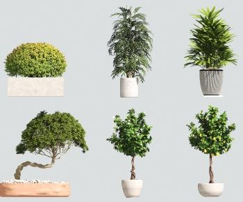 Modern Ground Green Plant Potted Plants-ID:987735034