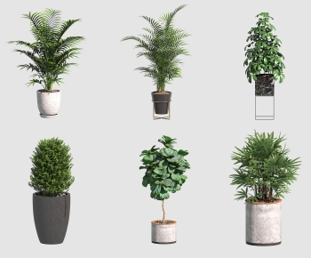 Modern Ground Green Plant Potted Plants-ID:915143016
