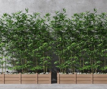 现代植物竹子3D模型