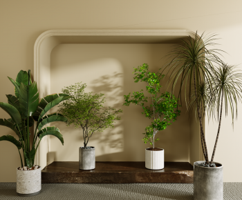 Modern Ground Green Plant Potted Plants-ID:416093117