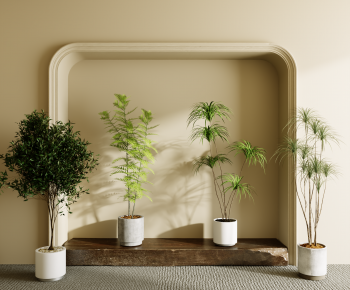 Modern Ground Green Plant Potted Plants-ID:914747957
