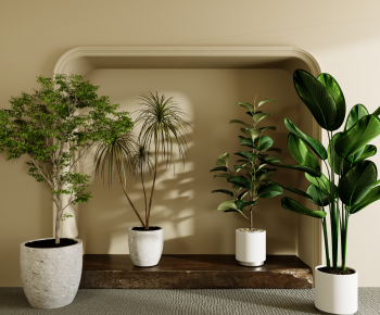Modern Ground Green Plant Potted Plants-ID:870336067