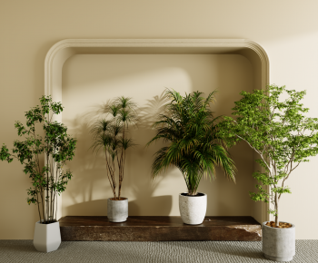 Modern Ground Green Plant Potted Plants-ID:215785981