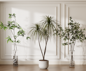 Modern Ground Green Plant Potted Plants-ID:187426095