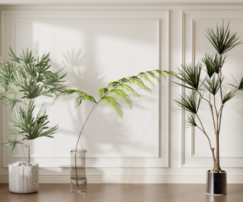 Modern Ground Green Plant Potted Plants-ID:976974018