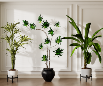 Modern Ground Green Plant Potted Plants-ID:530397891