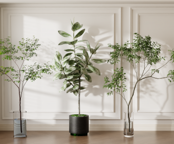 Modern Ground Green Plant Potted Plants-ID:131390187